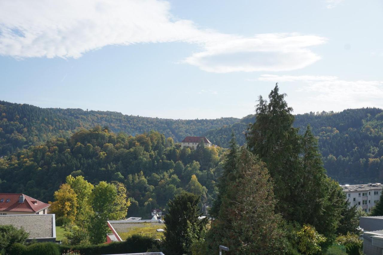 Ferienwohnung Schauinsland Neuenburg  Kültér fotó